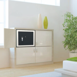 Citadel 45 V2 Home Locker